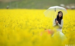 公交车双指探洞